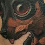 Tattoos - Miniature Pincher  - 115865